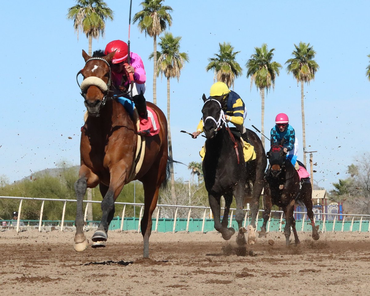 turf_paradise's tweet photo. REDLINE
Walter R. Cluer Memorial
Turf Paradise  Phoenix, AZ
February 15, 2024    
Race #08
Purse $60,000
One Mile  1:36.28
Jeffery Sangara, Owner
Craig Dollase, Trainer
Assael Espinoza, Jockey
Photo by Coady Photography
#HorseRacing https://t.co/1f5TPIHxCv