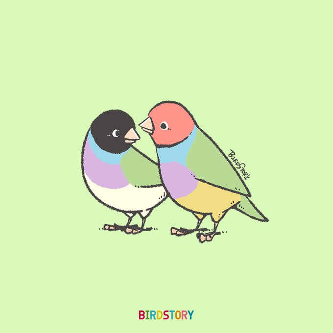 「BIRDSTORY」 illustration images(Latest))