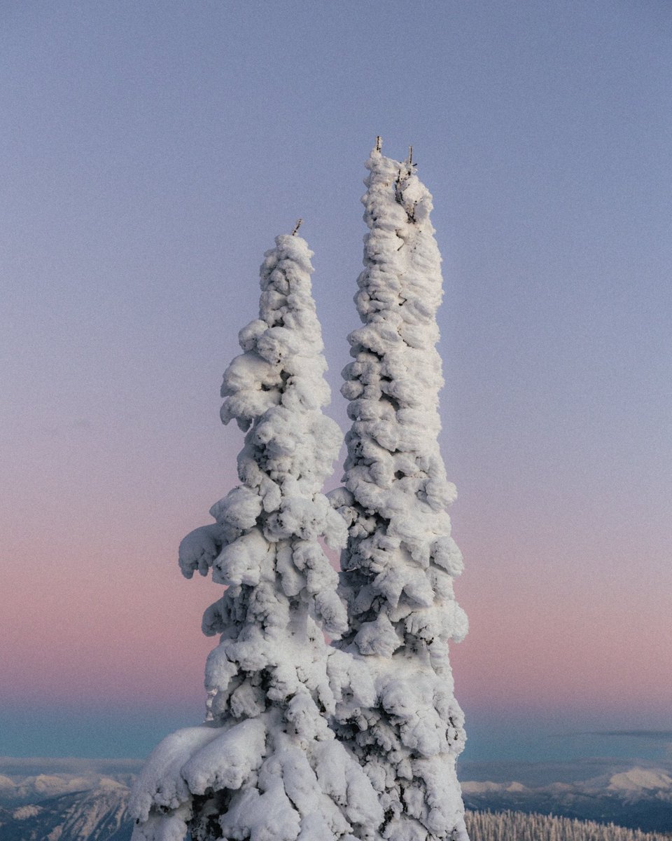 Justin D Kauffman tweet media