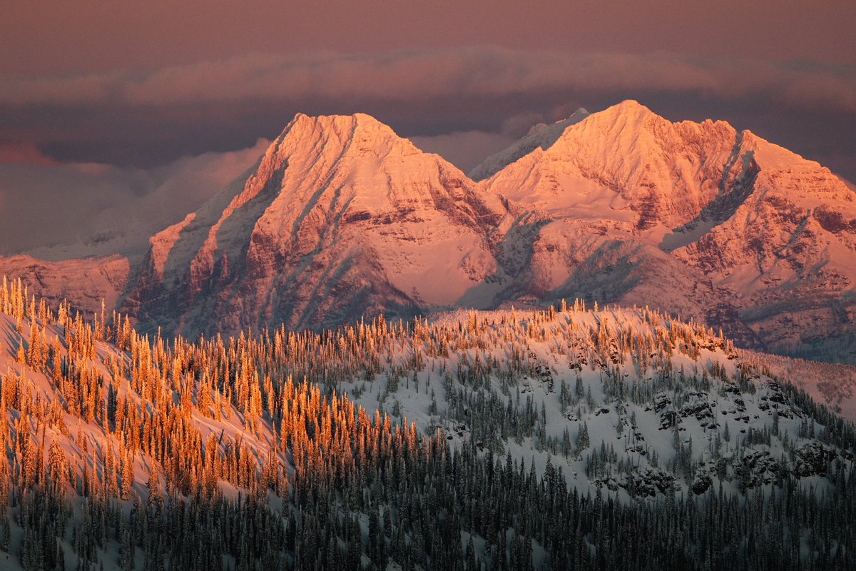 Justin D Kauffman tweet media