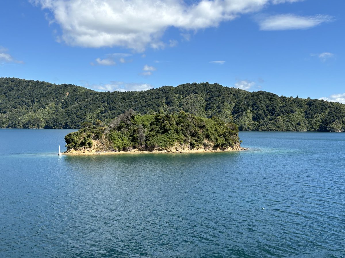 schroeder_ann's tweet photo. Picton New Zealand #CookStrait #FerryRide #SuchBeauty https://t.co/qhNQRN3rLQ