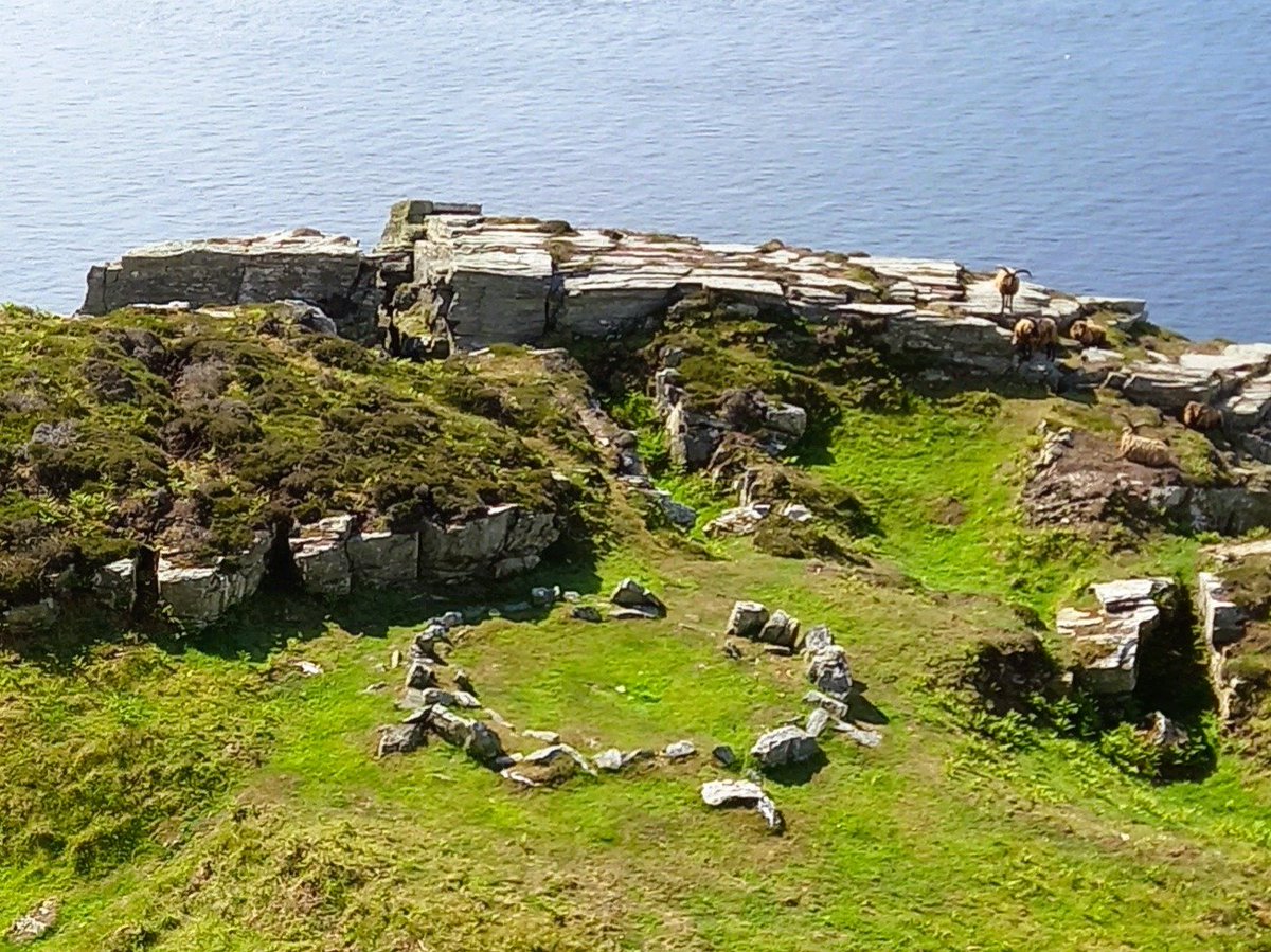 IslandHeritageTours tweet media