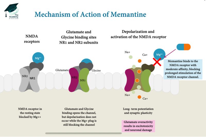 Memantine: An Underutilised Agent in Psychiatry 🚀💊

Find out why 👇

MOA 👉reducing NMDA excitotoxicity due to glutamatergic over-activation 🧠

NMDA receptors' locations: 🧠

1. DLPFC: Influences executive function

2. Ventral Tegmental Area: Houses dopaminergic neurons,…