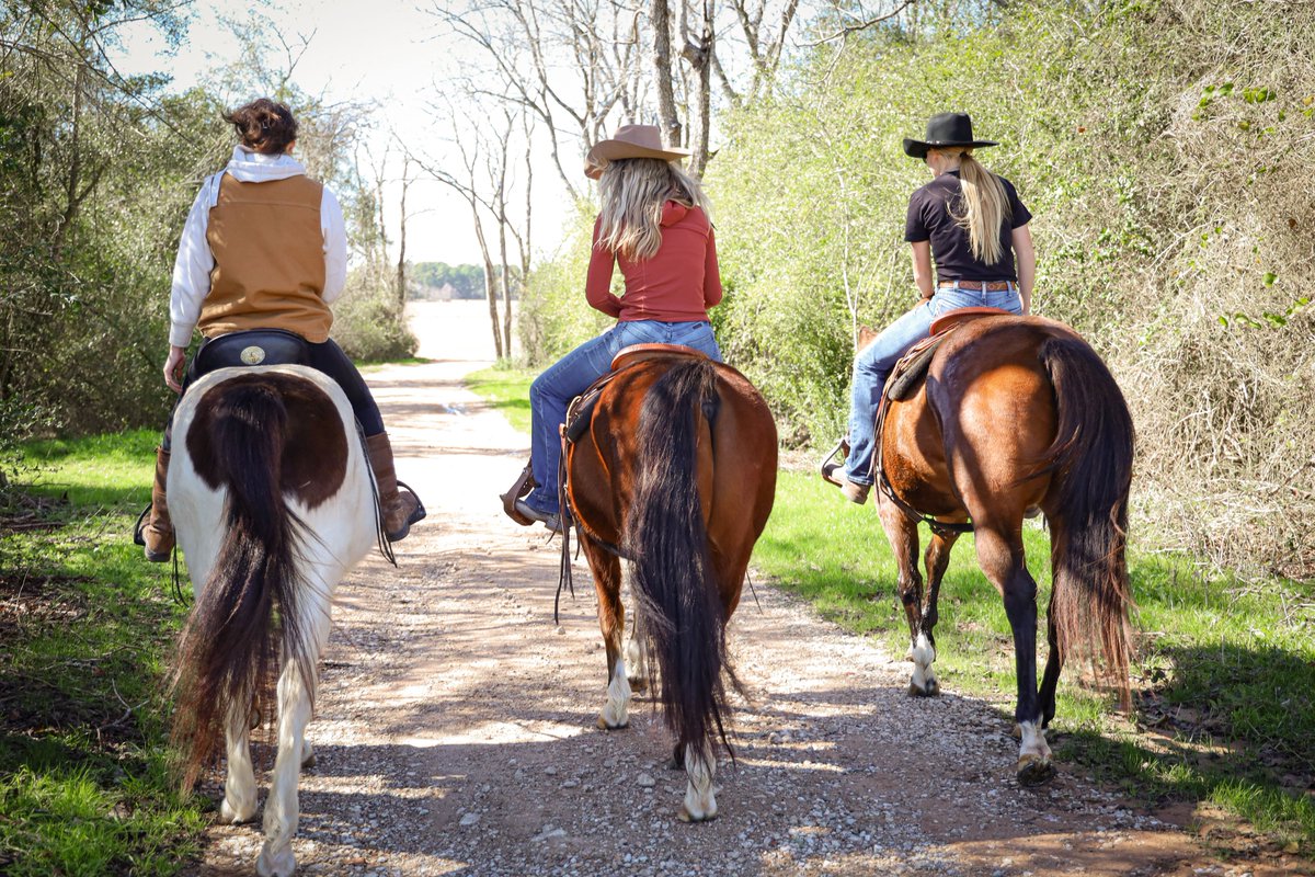 Find time to hit the trails! 🐎☀️#Adventureawaits #Ranchlife #Houstonoaks