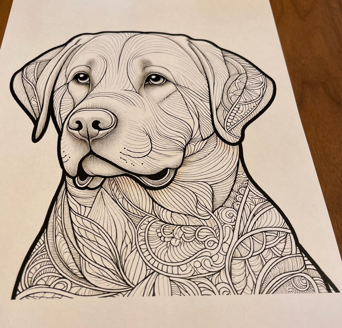 塗り絵を制作されている方の作品に
配色させて頂きました。

塗っていて、とても心地よく楽しい時間を過ごせました✨

かおる(<a href="/kaoru_nurie/">かおる</a> )様、
ありがとうございます𓂃𓂂ꕤ*.ﾟ
#オリジナル塗り絵
#色鉛筆
#かおる様の作品