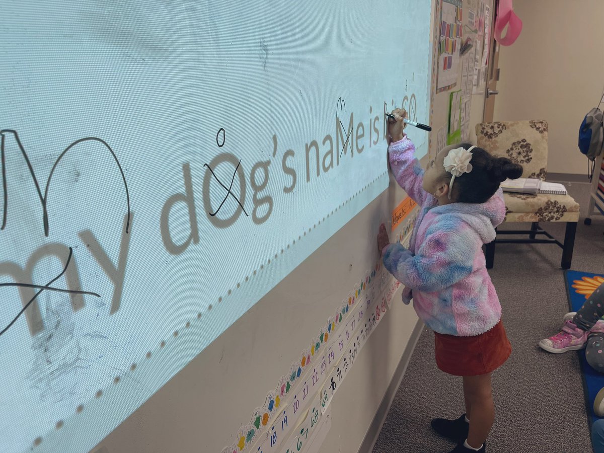 Amna Syed tweet media