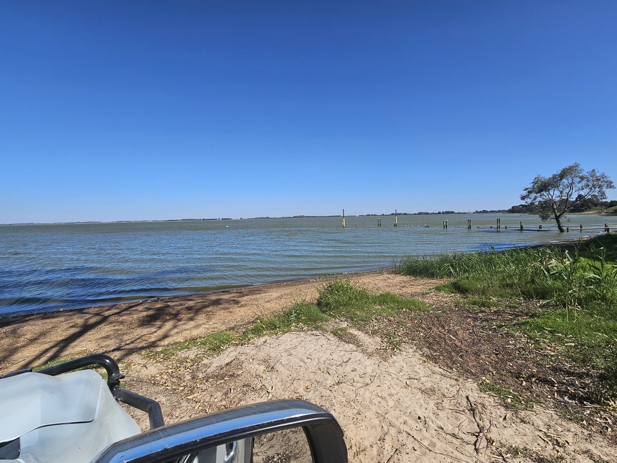 Leighton Wilksch tweet media