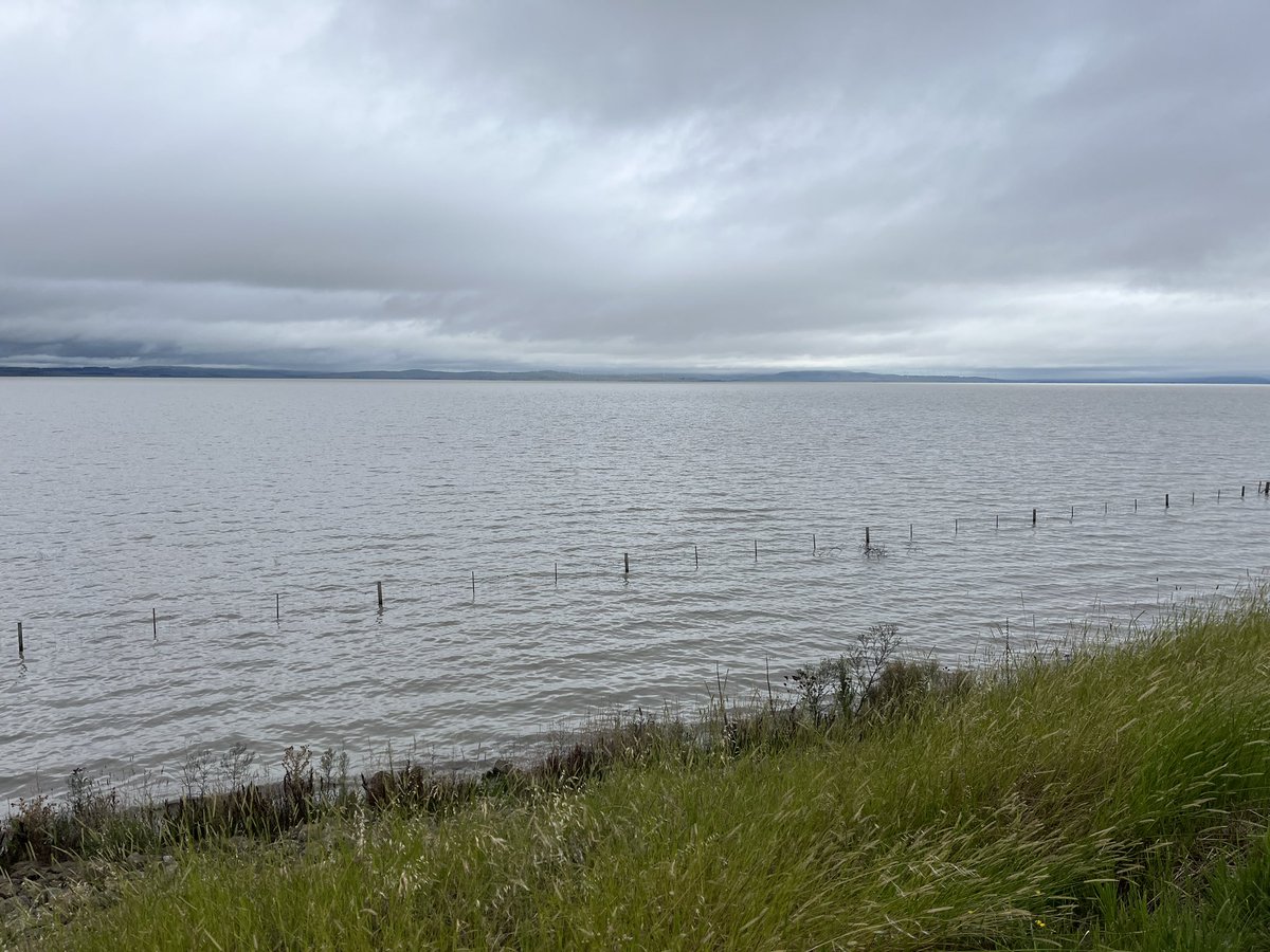 Nalini Joshi tweet media