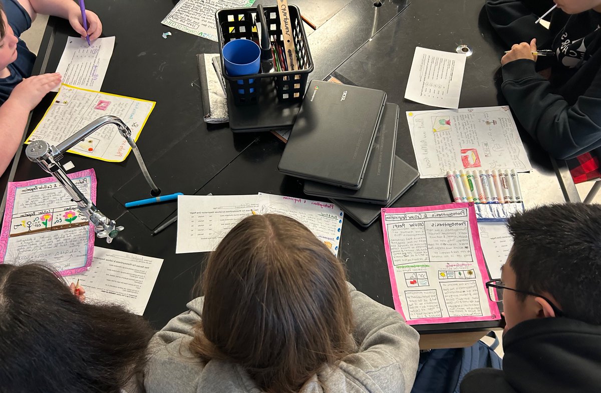 lexiechap's tweet photo. The power of peer feedback!! 🎉 I love hearing students use their academic vocab as they collaborate, and explain concepts to each other. After, students were able to add to their One Pagers based on the specific feedback provided. Team work makes the dream work! https://t.co/sQSgniBgDM