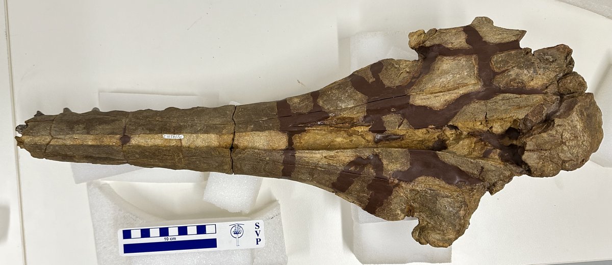 Erich Fitzgerald tweet media