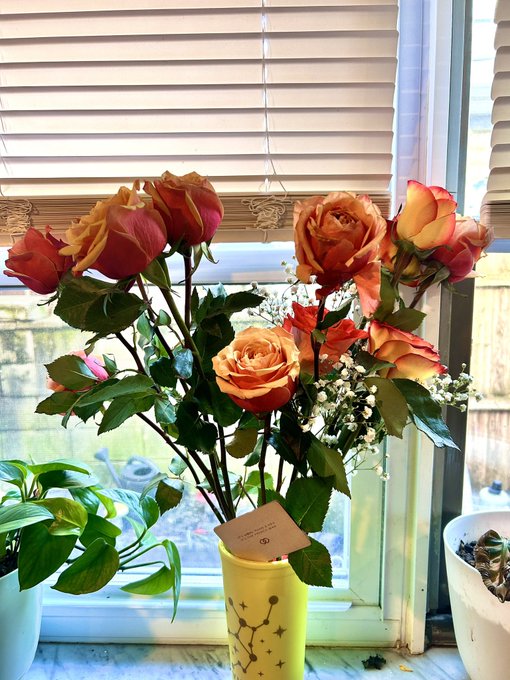 Happy V Day https://t.co/6Anod2DdSo<a href="/tag/mvsales"class="tags"><span>#mvsales</span></a>