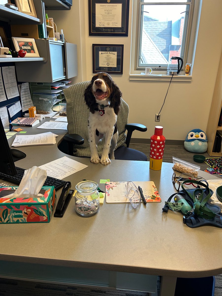 Professor Ellie Mint was in the office today 🐶
