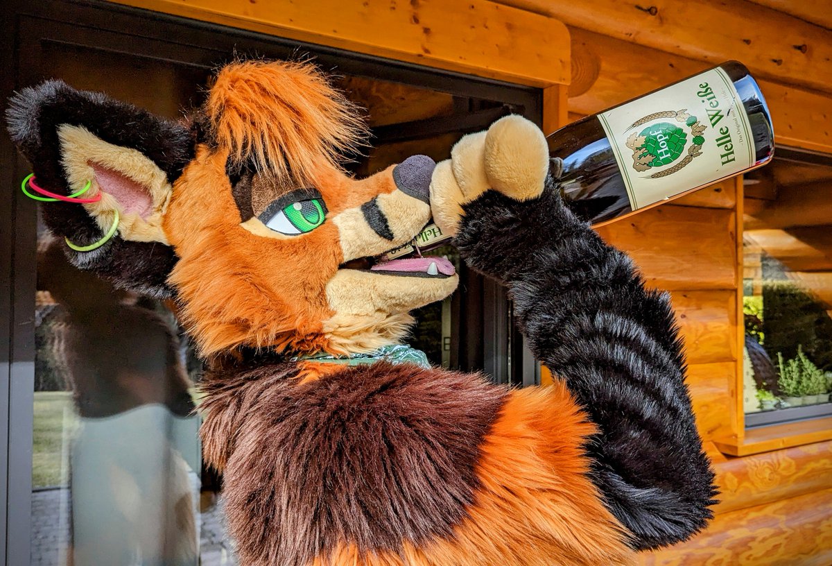 Finally! A beer made for a bigfox! 🦊🍻🍾

Be a shame to drink it alone mind - Wanna join me? 

Happy #FursuitFriday folks! Have an awesome weekend!