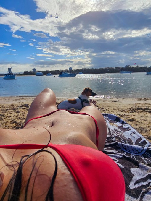 My fav place &hearts;️🌞🏖🐕 https://t.co/cMPd2QI53D