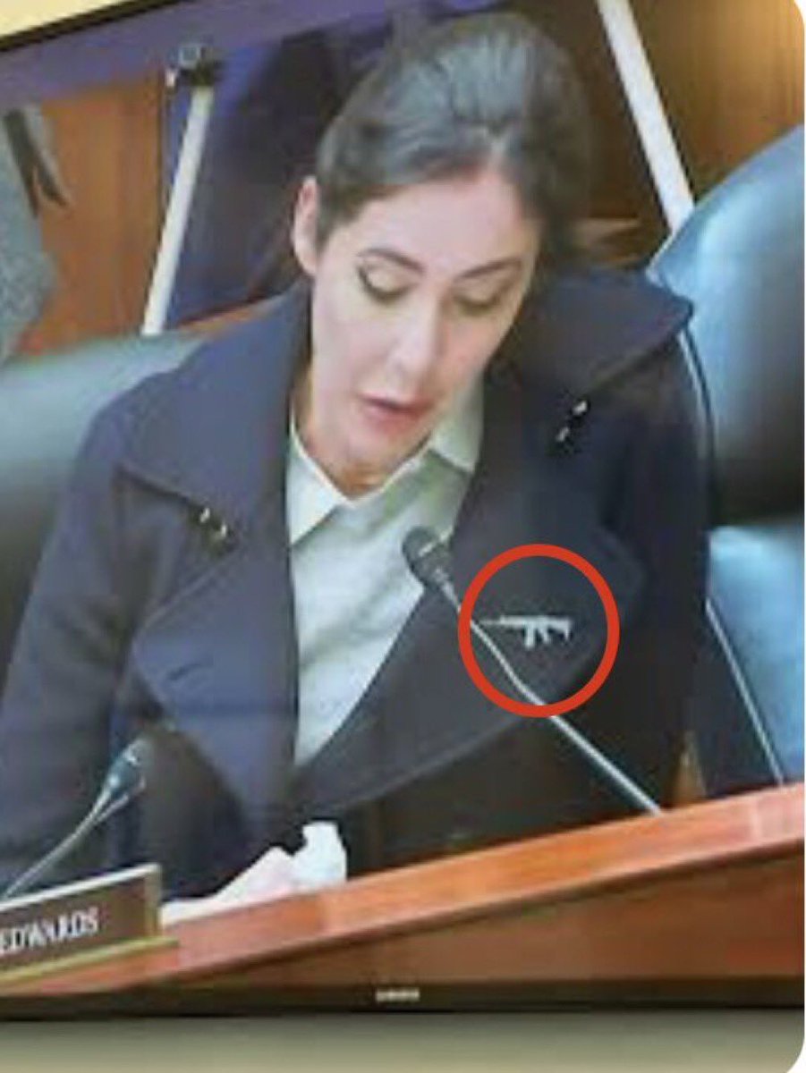 PoliticOhMyGawd's tweet image. In Luna’s defense, she’s currently focused on getting kids shot, so…you know.