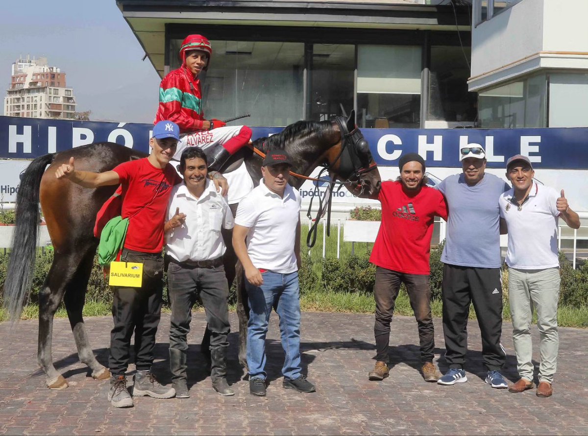 ¡La tercera fue la vencida para Hiroka! 💪🏼 Tras figurar en sus dos primeras actuaciones, la hija de #Timojin y Honey Chile Ryder derrotó por 4¾ cuerpos a Princess Azula en condicional de 1.200 metros corrida esta tarde en @hipodromo_chile. ¡Felicitaciones al #TeamSumaya! 🎉