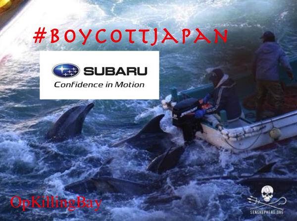Rough #weather sent  Japans dolphin killers back soon after they went out.