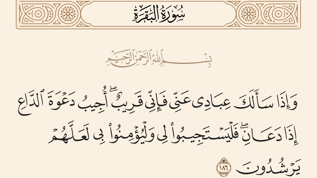 نايف بن مصلح المطيري tweet media