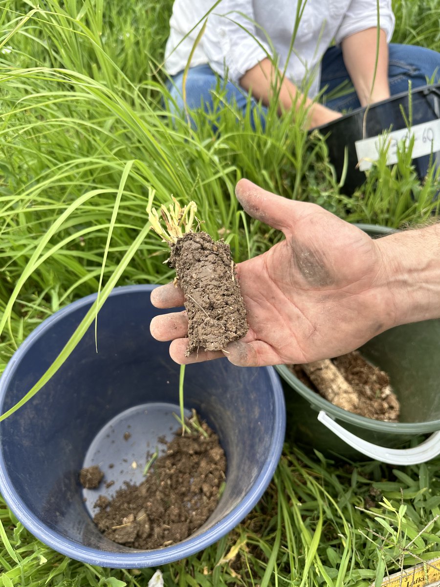 SQNNSW Innovation Hub (@sqnnswhub) on Twitter photo An interesting read about how the Hub is working to identify gaps in soil knowledge, soil expertise, information & data on soils & the barriers impacting landholders to improve how they manage land with a focus on soil (page 12-13) 🌱
<a href="/DAFFgov/">Department of Agriculture, Fisheries and Forestry</a>
droughtinfo.com.au/drought-resear… An interesting read about how the Hub is working to identify gaps in soil knowledge, soil expertise, information & data on soils & the barriers impacting landholders to improve how they manage land with a focus on soil (page 12-13) 🌱
<a href="/DAFFgov/">Department of Agriculture, Fisheries and Forestry</a>
droughtinfo.com.au/drought-resear…