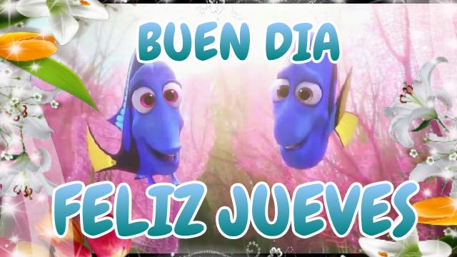 tipsfreelance's tweet photo. BUEN DIA, FELIZ Y BENDECIDO JUEVES https://t.co/gKDEsShybk https://t.co/ABpQFNxhAU