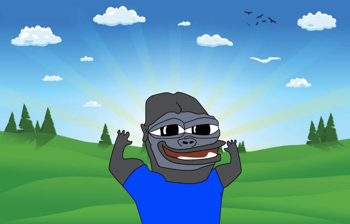 MeetMonke's tweet photo. Rise and Shine $MONKE 🦍📈 https://t.co/czovx9cIfP