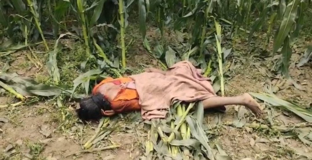 JaipurDialogues's tweet photo. Image 1: TMC Leader
Image 2: Women Under TMC Rule https://t.co/l9FbqBbsh0