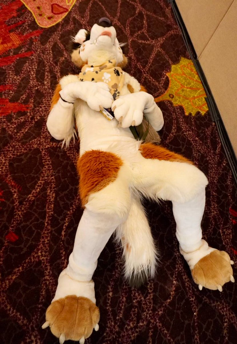 softcorps.bsky.social tweet media