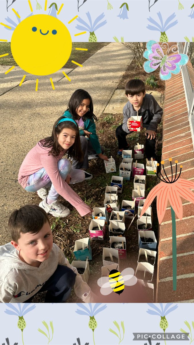 ThinkScience105's tweet photo. Second graders planting seeds for our butterfly garden. @HolmdelSchool @HolmdelMathSci @VillagePrin https://t.co/fXhi3XpD1F