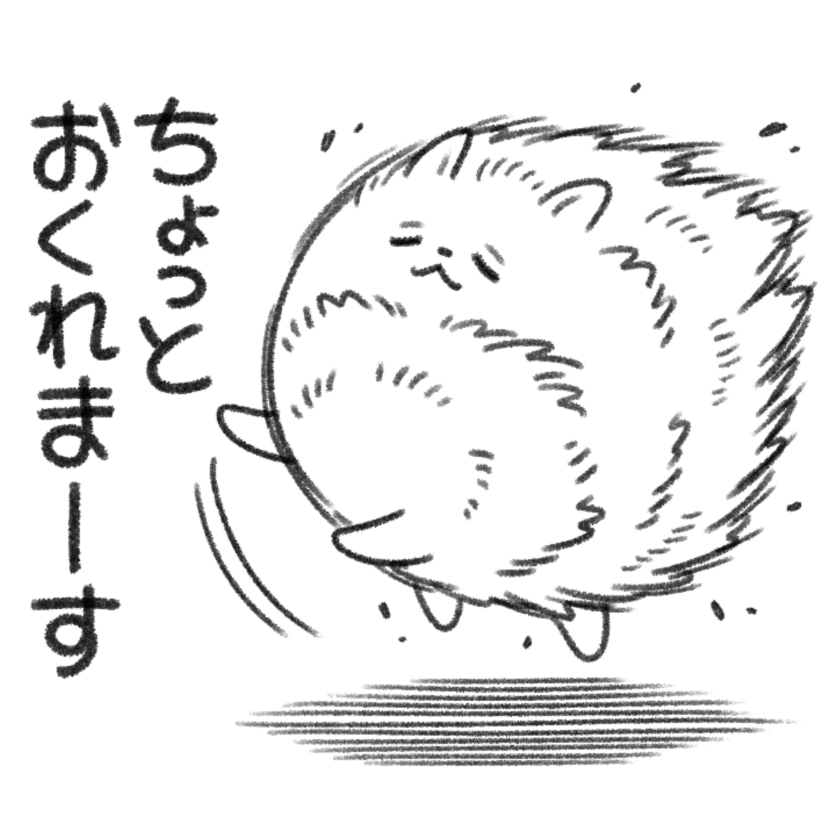 風強すぎー 強風に襲われても負けないポメラニアン 