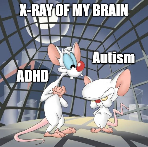 autismsupsoc's tweet photo. #AuDHD https://t.co/4JOJstfE15