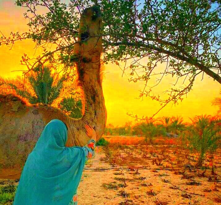 اسلام علیکم ❤️ جمعہ مبارک 🍁🍁 اپنی شخصیت کی اصلیت اور نزاکت پر فخر کریں، آپ جیسا دنیا میں کوئی نہیں۔