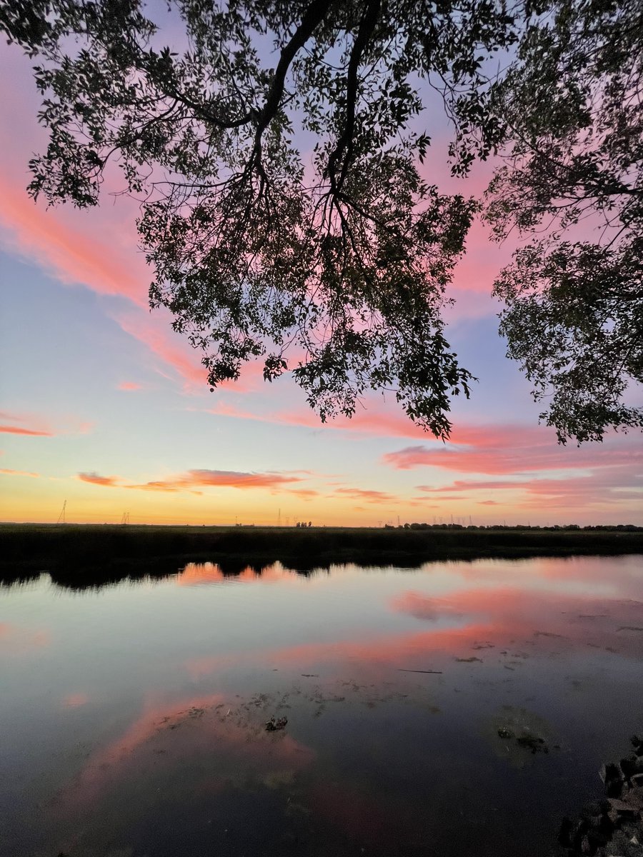villagewestmar's tweet photo. The best sunset view on the Delta 💙 #VillageWestMarinaAndResort #CaliforniaDelta #DeltaMarina #Sunset #CADeltaSunset #CaliforniaViews #TheBungalows #CADelta #GoneFishing #Fishing #Boating https://t.co/yBWirCbzLS https://t.co/mxmn2ywr6m