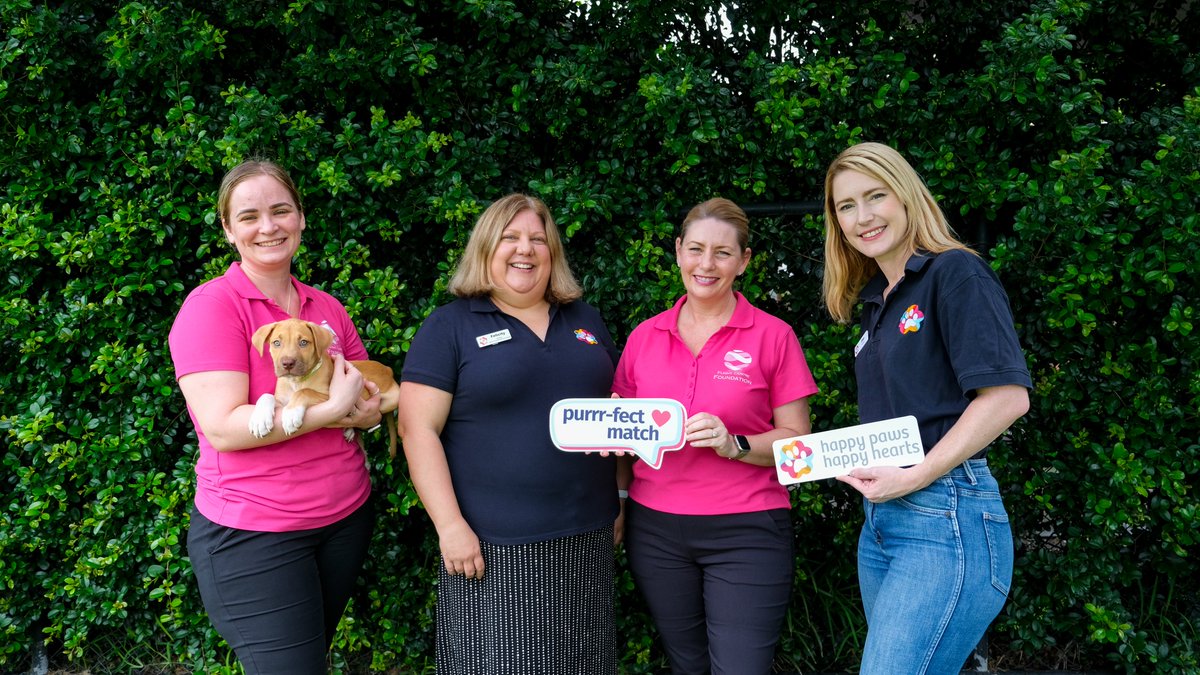 Happy Paws Happy Hearts | HPHH tweet media