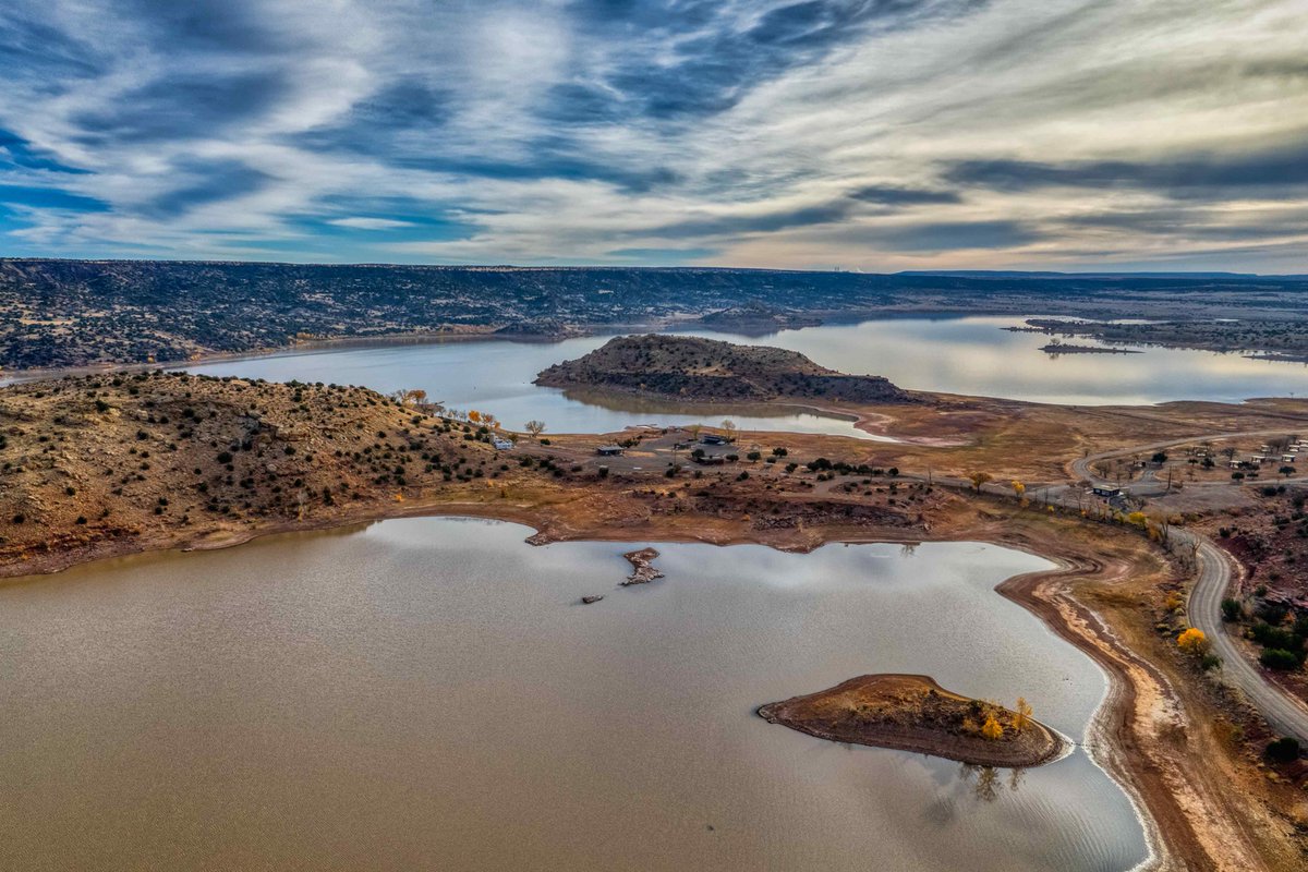 ShowLowChamber tweet media