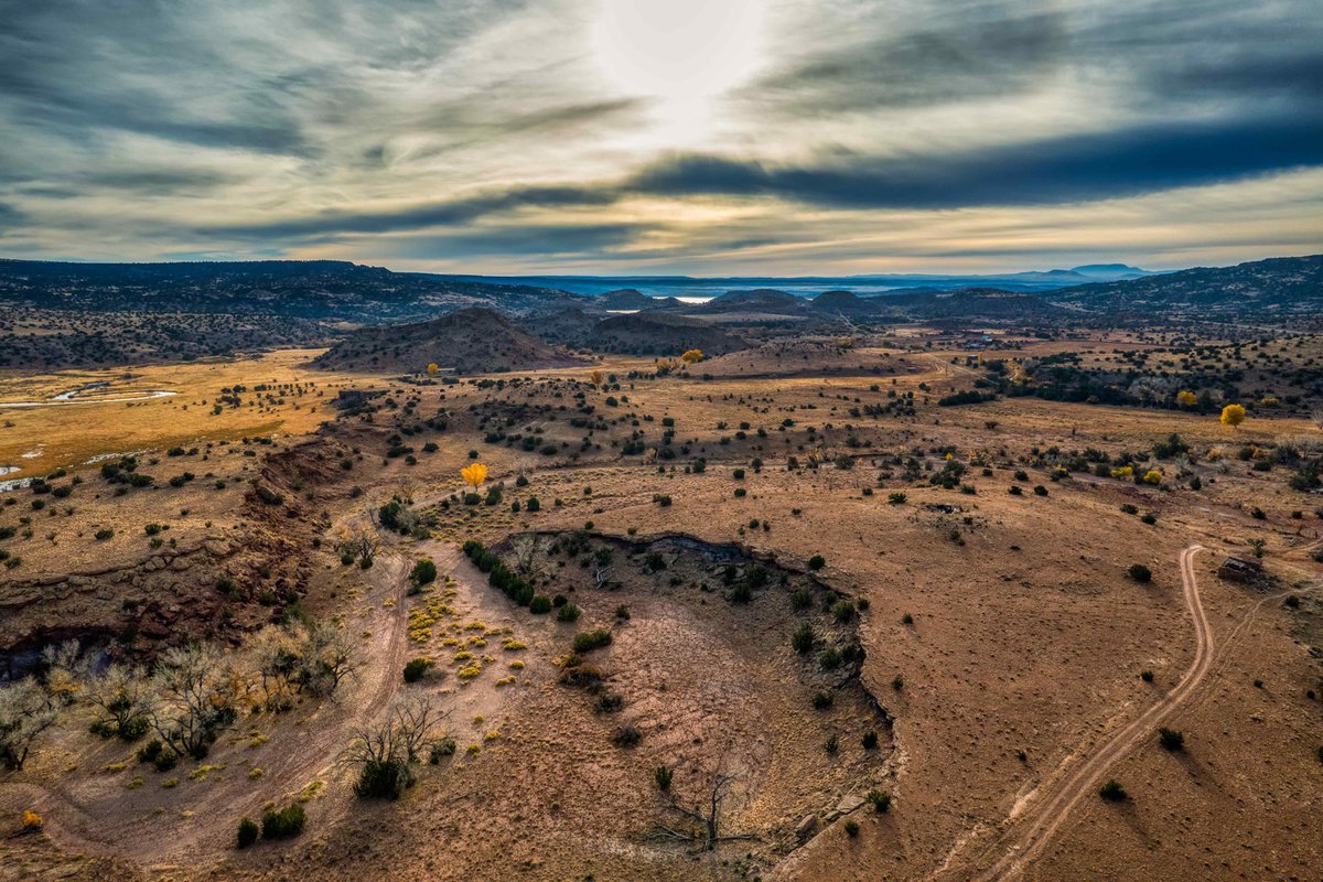 ShowLowChamber tweet media