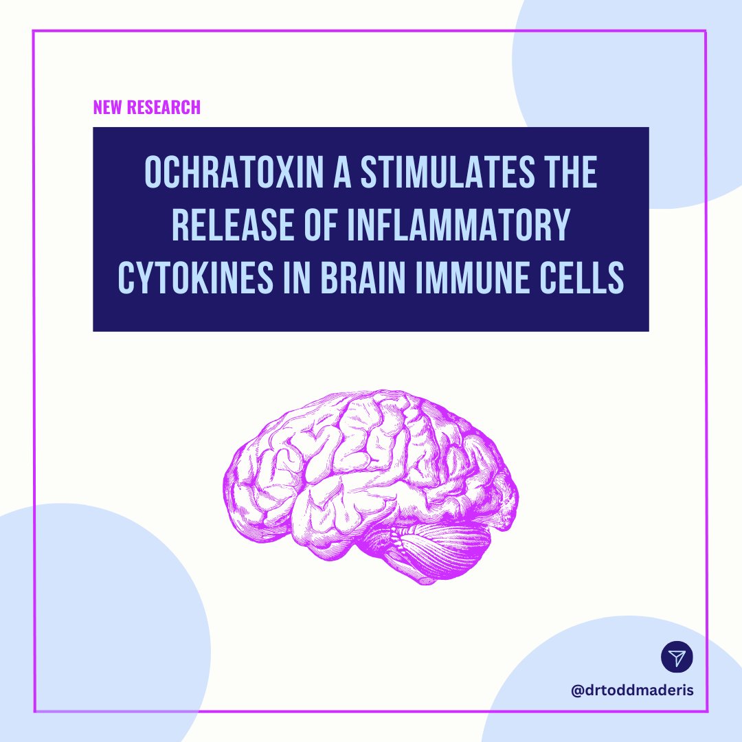 [NEW RESEARCH] Ochratoxin A Stimulates the Release of Inflammatory Cytokines in Brain Immune Cells The #mold toxin #OchratoxinA is known to contribute to neurological damage. In an article I recently wrote about how mold and #mycotoxins affect human health, I cite studies that…