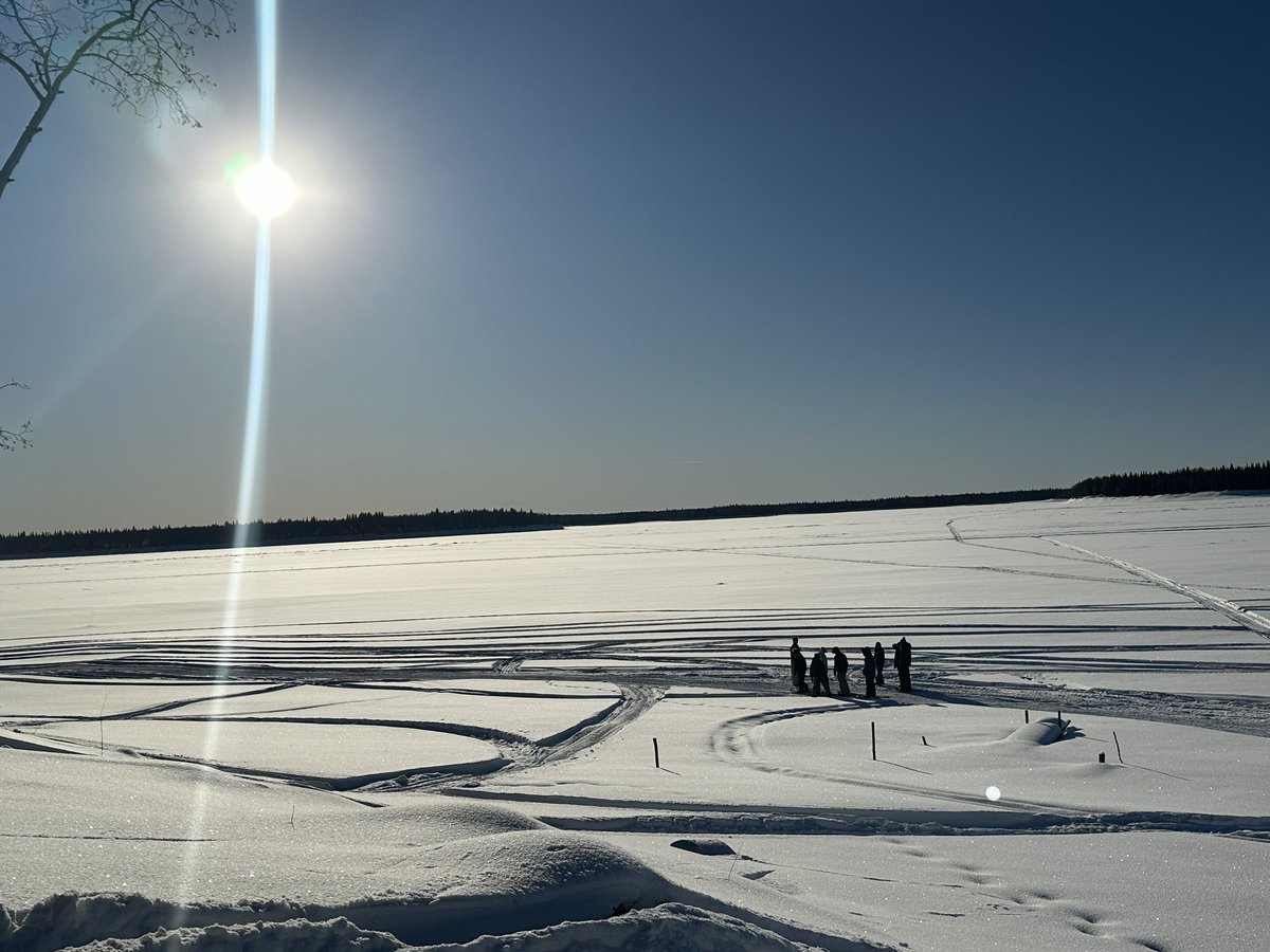 Jaime De Pippo (she/her) tweet media