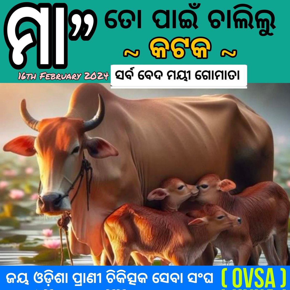 ପ୍ରାଣୀ ସମ୍ପଦର ଉନ୍ନତି ଓ ସୁରକ୍ଷା ପାଇଁ 
16 ଫେବୃଆରୀ କଟକ ଚାଲ: OVSA
<a href="/CMO_Odisha/">CMO Odisha</a>
<a href="/dahvsodisha/">Directorate of AH&VS Odisha</a> @farddept <a href="/kanak_news/">Kanak News</a> <a href="/MoSarkar5T/">MoSarkar 5T</a> <a href="/OVSABalasore/">OVSA Balasore</a> <a href="/ovsajharsuguda/">OVSA Jharsuguda</a> <a href="/ovsacuttack/">Odisha Veterinary Service Association CUTTACK</a> <a href="/pranabpdas/">Pranab Prakash Das</a>