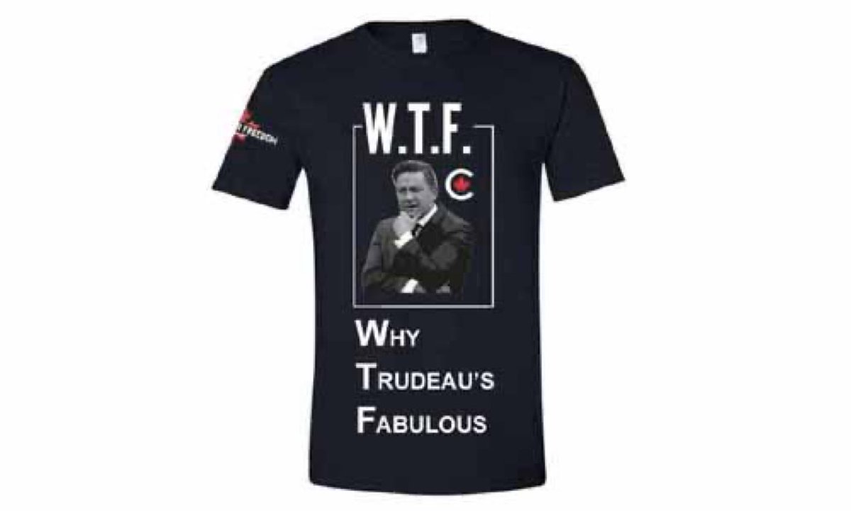 ame_todd's tweet photo. @AnaPoilievre @PierrePoilievre Anaida Xiomara Galindo Poilievre loves Justin Trudeau and thinks he’s fabulous. Look what she’s created! https://t.co/hcfQslD8ie
