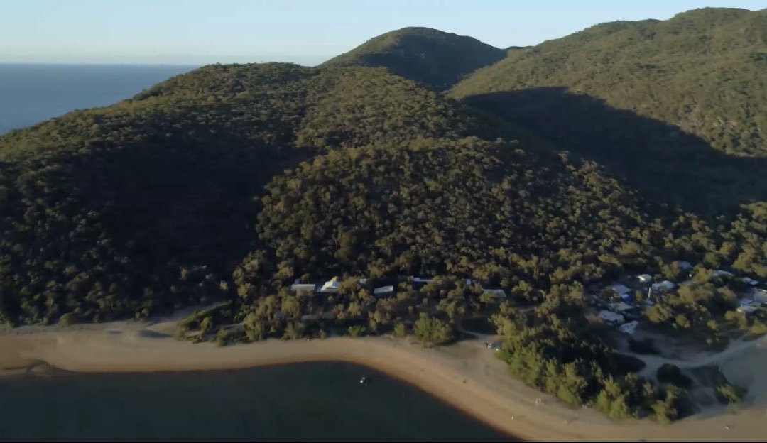 Congratulations to the first 50 <a href="/CycloTurtles/">CycloTurtles by NotEssential™</a> who made it into our first coral restoration tank located in Magnetic island QLD Australia.🇦🇺

You will soon be receiving your 
🪸CHARM🪸to your home address.