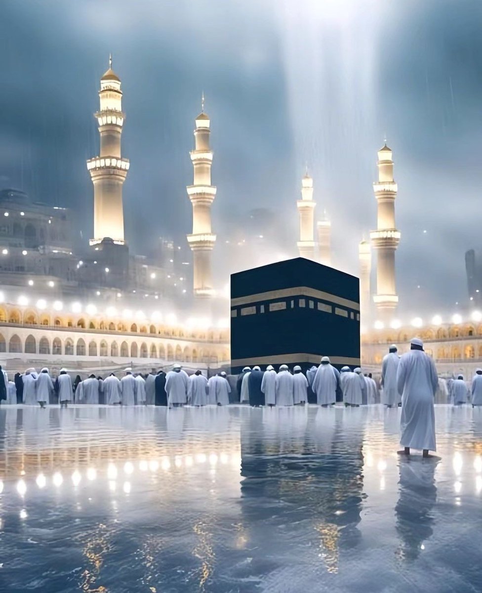 السلام و علیکم ورحمتہ وبرکاتہ 🥀
صبح بخیر