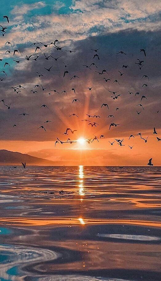 wonder7sphere's tweet photo. Good Morning!
“Rise up, start fresh, see the bright opportunities each day.”  #Perletti #gntm #الهلال_ساباهان #bbtvi https://t.co/ePp2ahZWq5