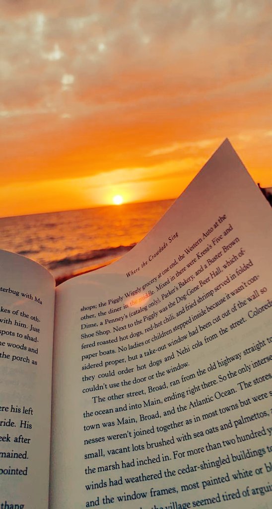 'Plunging into a world of words with the soothing symphony of tides as my background. Books and beaches – the perfect blend of peace and storytelling.' 📚🏖️ 

#BeachReading #BookWaves #reader #reading #read #beach #happyme