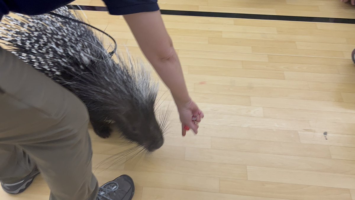 ashleyterry87's tweet photo. @KansasCityZoo Zoomobile came today! Saw this little cutie!#wearegrandview https://t.co/EX3WIFvQAw