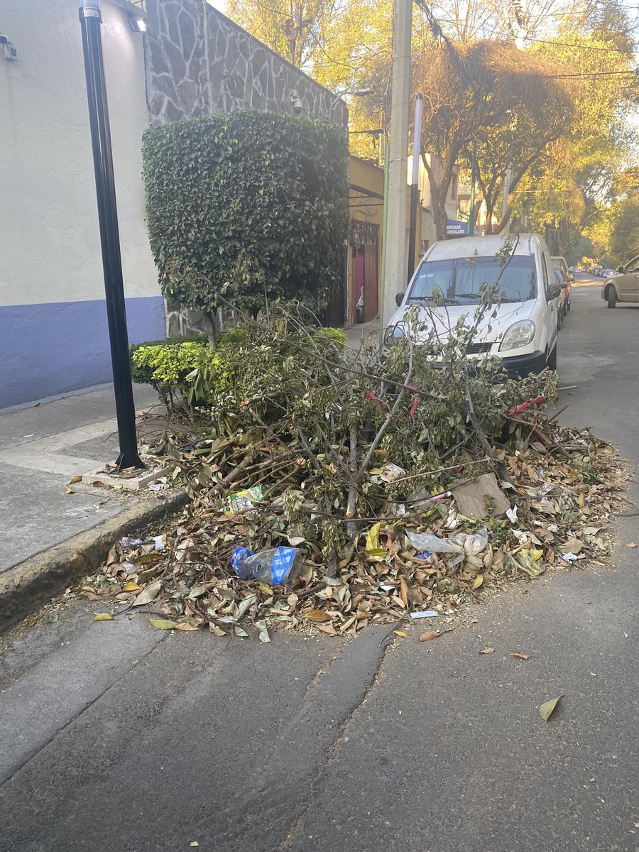 AzminPlatas tweet media