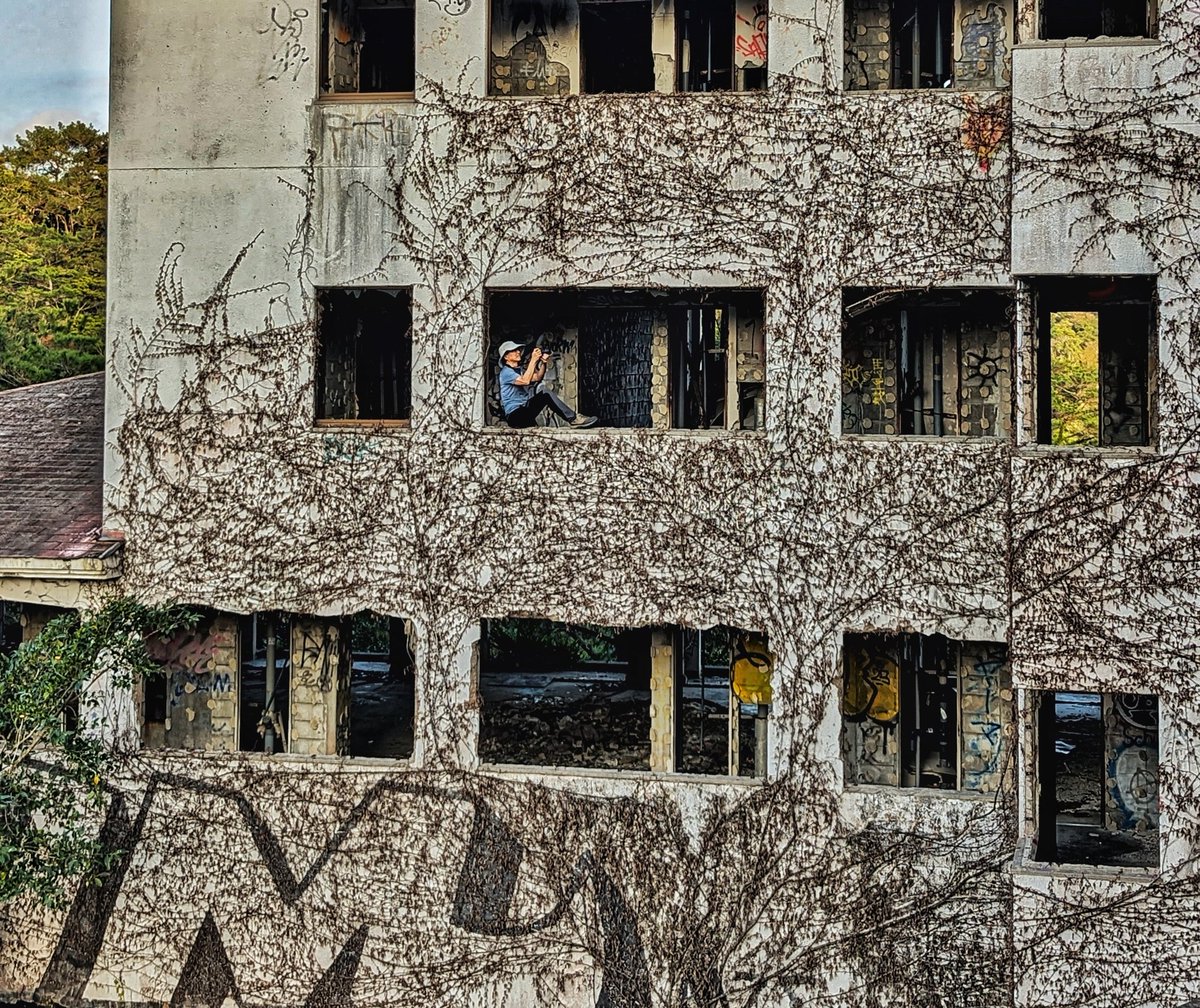 P H Yang Photography tweet media