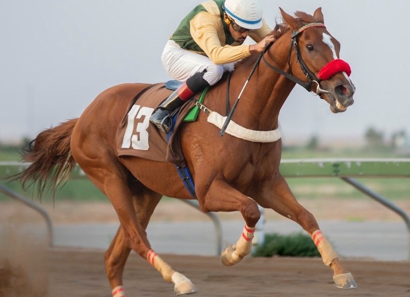 من يلوم القلب في حُب الخيل 
كنّه يلوم الارض في حُب المطر