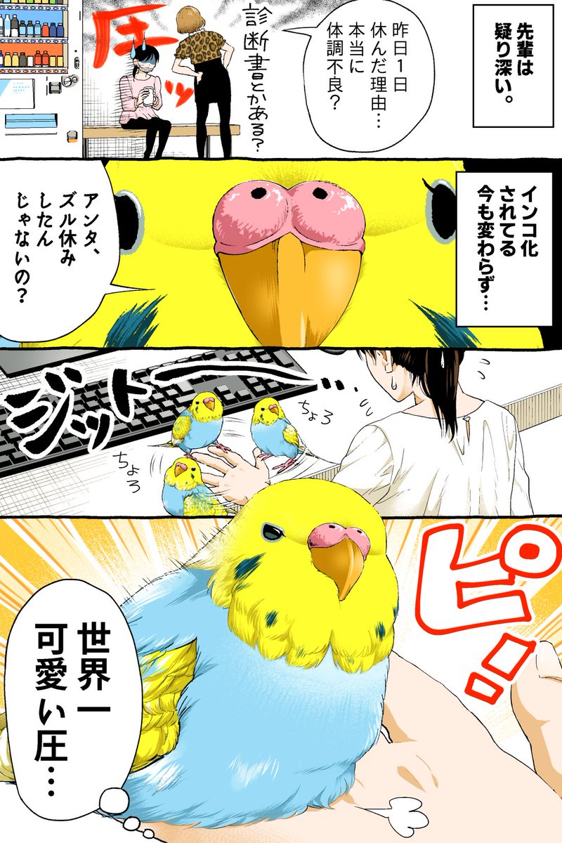 #インコ 先輩の圧。 -- 「いじわる先輩、インコになった!? by初丸うげべそ @ugebes0 」 #ヤメコミ #4コマ漫画 ▼初丸うげべそさんの過去作品 https://tenshoku.mynavi.jp/knowhow/yamecomi/ugebeso/01/?src=twyc_new240216