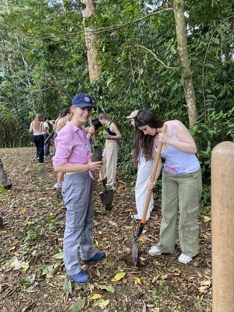 NGHSSpanish's tweet photo. Day 2. We planted some trees in a reforestation project and you can find them on Google maps. NGHS PLAQUE will remain there. #CostaRica24 https://t.co/9GnK7yCQGF