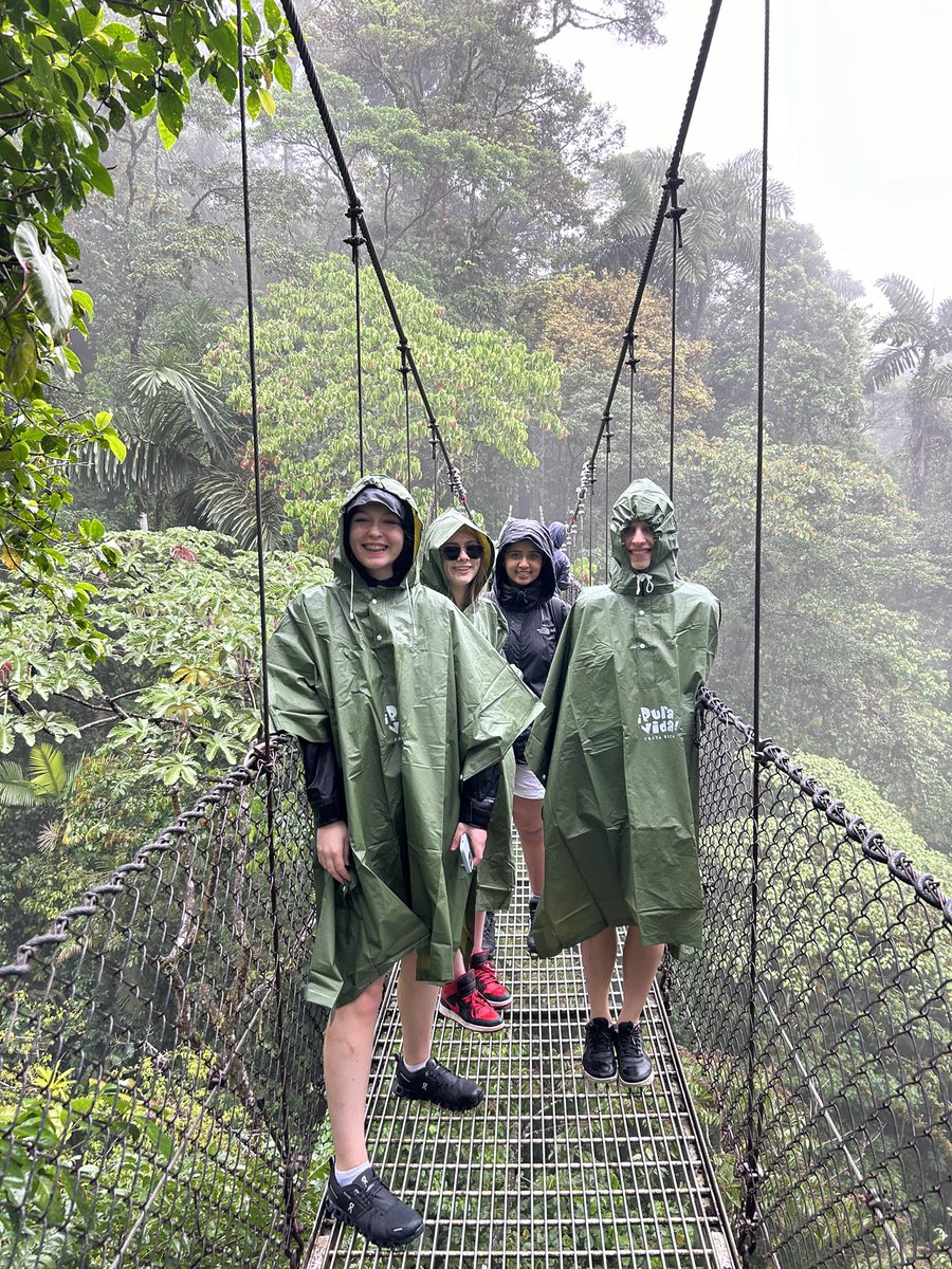 NGHSSpanish's tweet photo. Day 3. Rainforest walk and Hanging bridges, under the rain. https://t.co/Fe8GXG7vfd